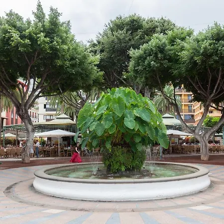 Home2book Cozy Puerto De La Cruz, Pool * プエルト・デ・ラ・クルス